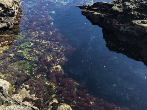 Crystal clear waters in Miura.