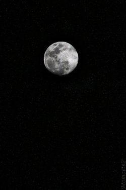 artizan3:  big_moon_in_starry_night_by_momotte2