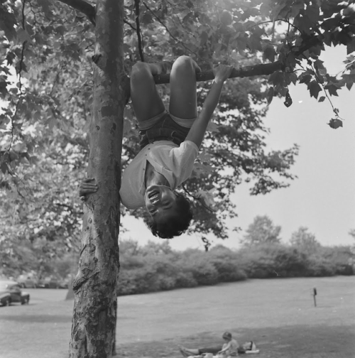 twixnmix:Eartha Kitt photographed by Gordon Parks in New York, 1952.