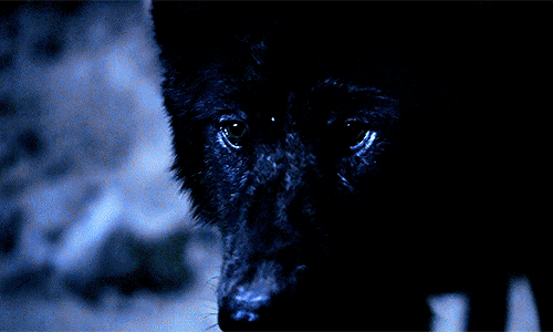 tl-hoechlin:  You were… You were dead… 