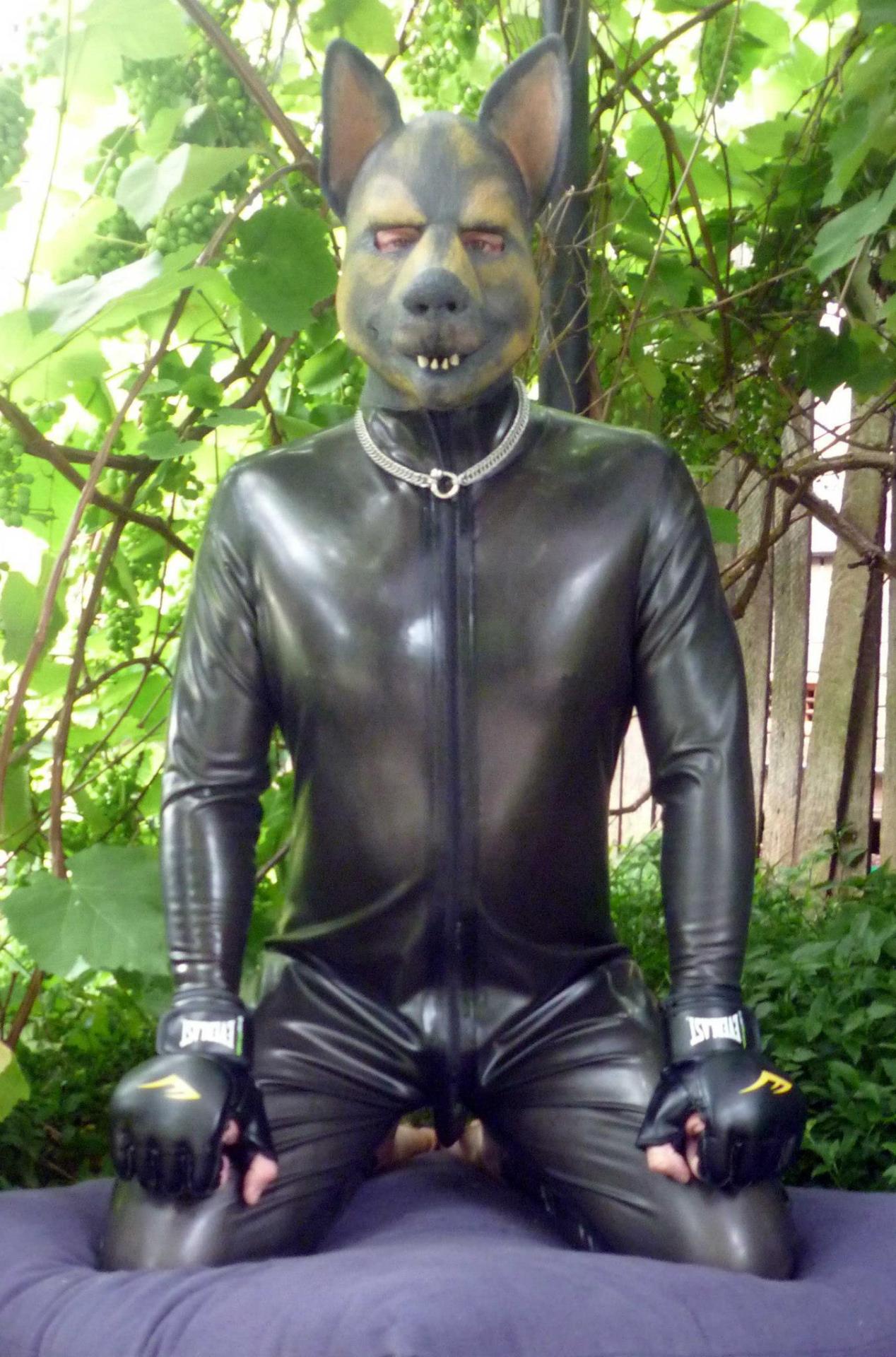 Gpup chilling in the back yard of the Sirius Pup compound wearing his rubber catsuit.