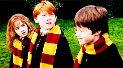 danradcliffs:  Favourite Movies: Harry Potter