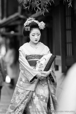 geisha-licious:  maiko Mamemaru by ALEXANDER
