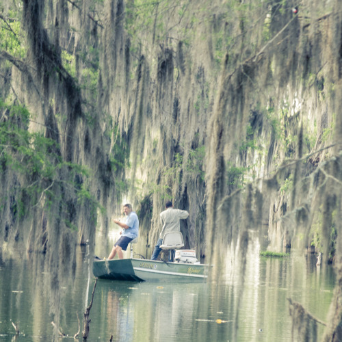 Deep South, Lake Martin (w/ Nobert Leblanc), Louisiana USA (2014)