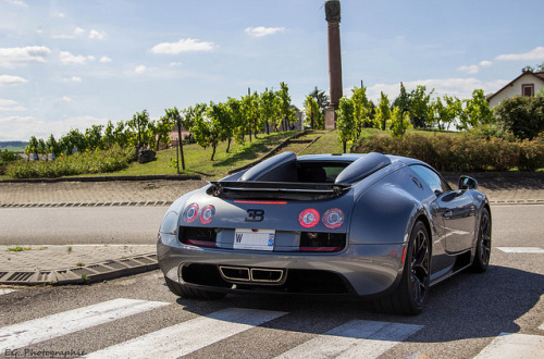 automotivated:  (via Vitesse. | Flickr - Photo Sharing!)
