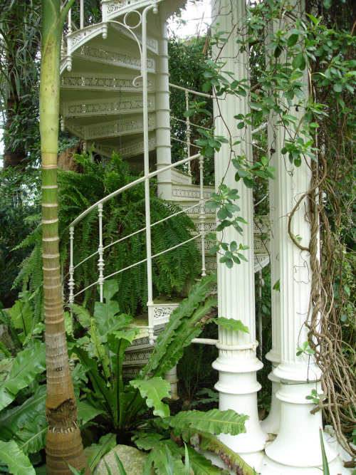 oviz:The Palmenhaus Schönbrunn, Vienna, Austria