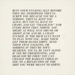 kiogy:  my favourite Jenny Holzer pieces