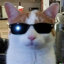 mariposez
