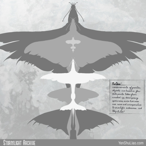 Here are all the skyeels in their relativesizes. The silhouette of the female greater skyeel has bee