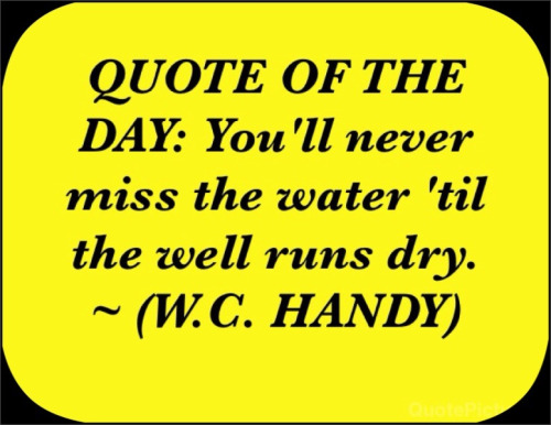 blackchildrensbooksandauthors:  Born on this day…November 16, 1873William C. Handy: Composer/Musician (aka) “Father of the Blues”Books:Father of the Blues: An Autobiography  W. C. Handy: Founder of the Blues Quote:“You’ll never miss the water