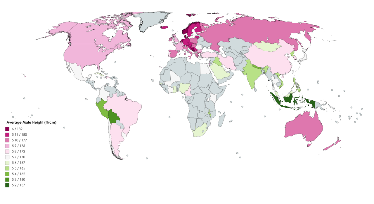 Average male height by country.