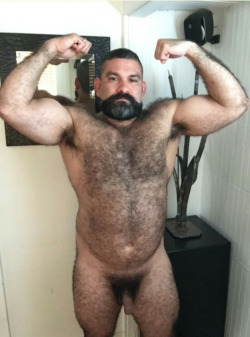 hairyboyfriends:  Look more at http://gaybearpin.com/