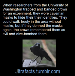 ultrafacts: Source: [x] Click HERE for more