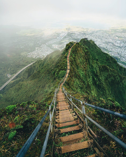 earth:The Haiku Stairs in Oahu, Hawaii @