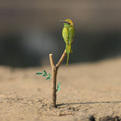 Miniature Paper Birds by nvillustration