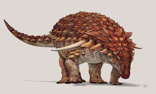 Unleashing the “dragon”Many of you may still remember the amazing 100-million-year-old nodosaur foun