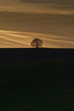 heaven-ly-mind:  In the twilight by Andy