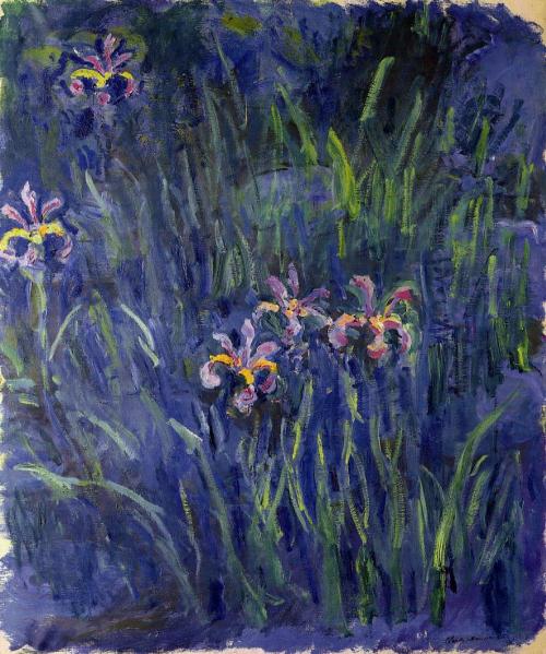 malinconie:Irises by Claude Monet