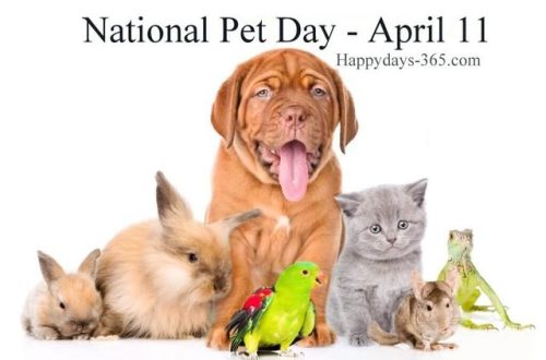 Every day is love your pet day… but today it’s a party!!HAPPY PET DAY!If you’re looking to ad