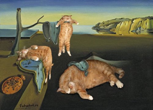 archiemcphee:Russian artist Svetlana Petrova has an awesome marmalade cat named Zarathustra whom she