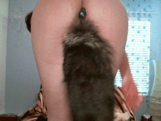 sexytailplugfoxtailpetplayx:  Pet play at its best