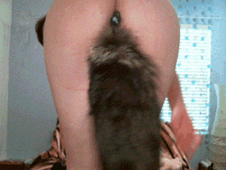 Sexytailplugfoxtailpetplayx:  Pet Play At Its Best