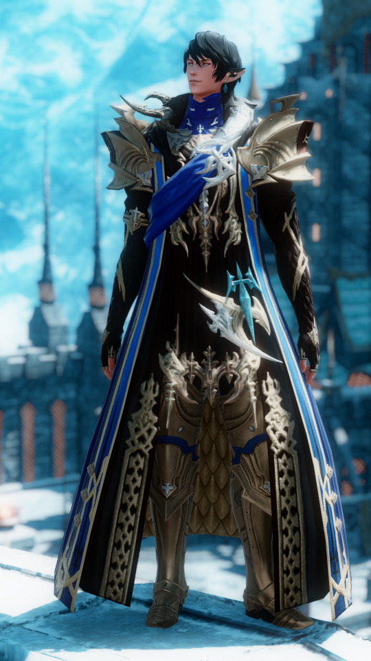Lord Commander, Ser Aymeric De Borel.