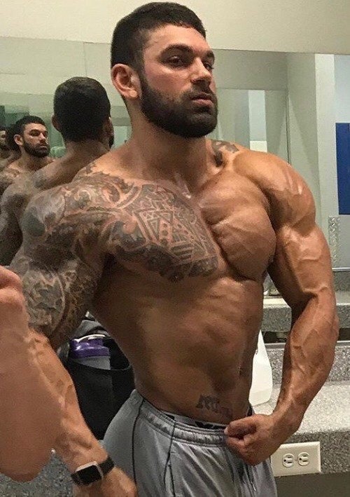 musclecorps: