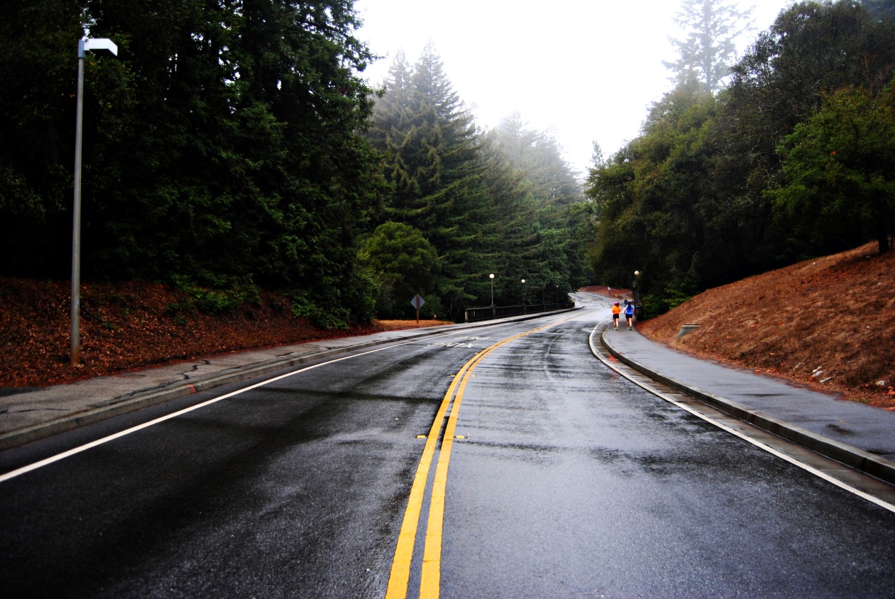 soundismusic:  rainy day