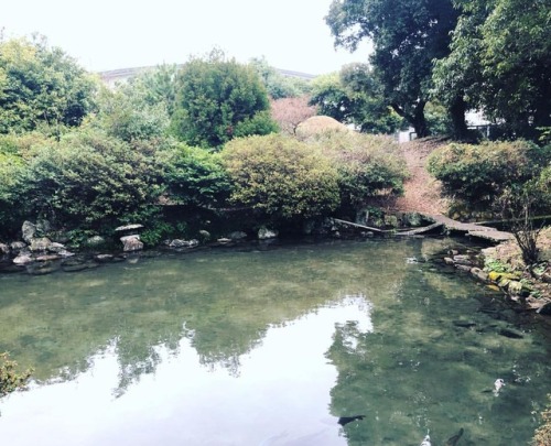 ＼おにわさん更新情報／ ‪[ 熊本県八代市 ] 栽柳園 Sairyu-en Garden, Yatsushiro, Kumamoto の写真・記事を更新しました。 ーー八代城主９代 #松井章之 公の御