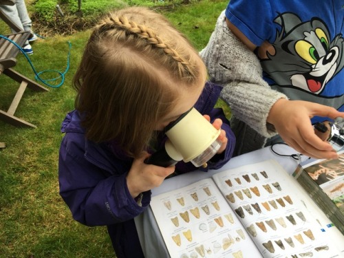 MOTHIFY PROJECT 2016 Woodcraft Group, Berkshire September 24th Post 3 of 6
There are lots of people in this group but they were all quite careful with the moths and really enjoyed looking at them. The session we did before was in June so these were...