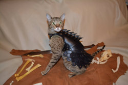 tastefullyoffensive:  No cat is complete without a set of leather battle armor. [kotaku] Buy it on Etsy. 