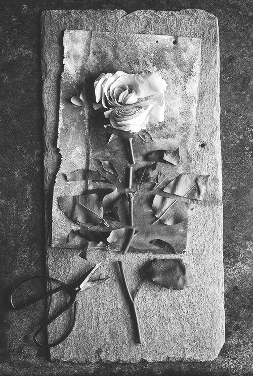 latent-defects:  ñ on We Heart It - http://weheartit.com/entry/93986476