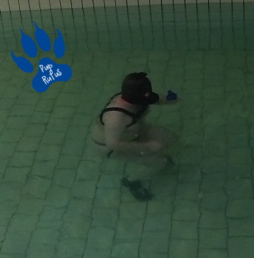 With Temperatures Reaching 30 C (86 F) Outside Rufus Was In Desperate Need For Some Cooling Down And