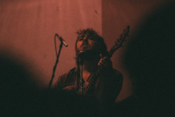 andrewpiccone:  Elvis Depressedly. Shea Stadium.