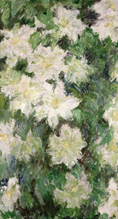 dappledwithshadow:  Claude Monet White clematis1887Oil on canvas92 x 52 cm 