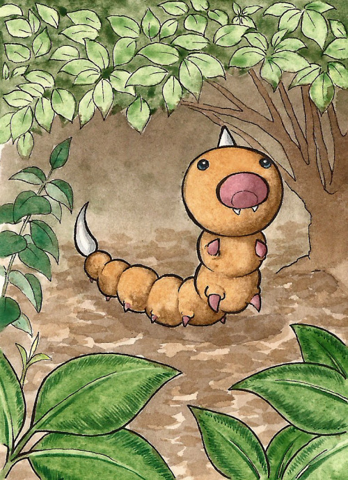 Ahh, The Other Bugs. I Always Liked The Idea Of Beedrill As A Child, Because Who Wouldnt Want To Send