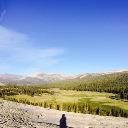 #Yosemite #Nature #Climbing #Forest