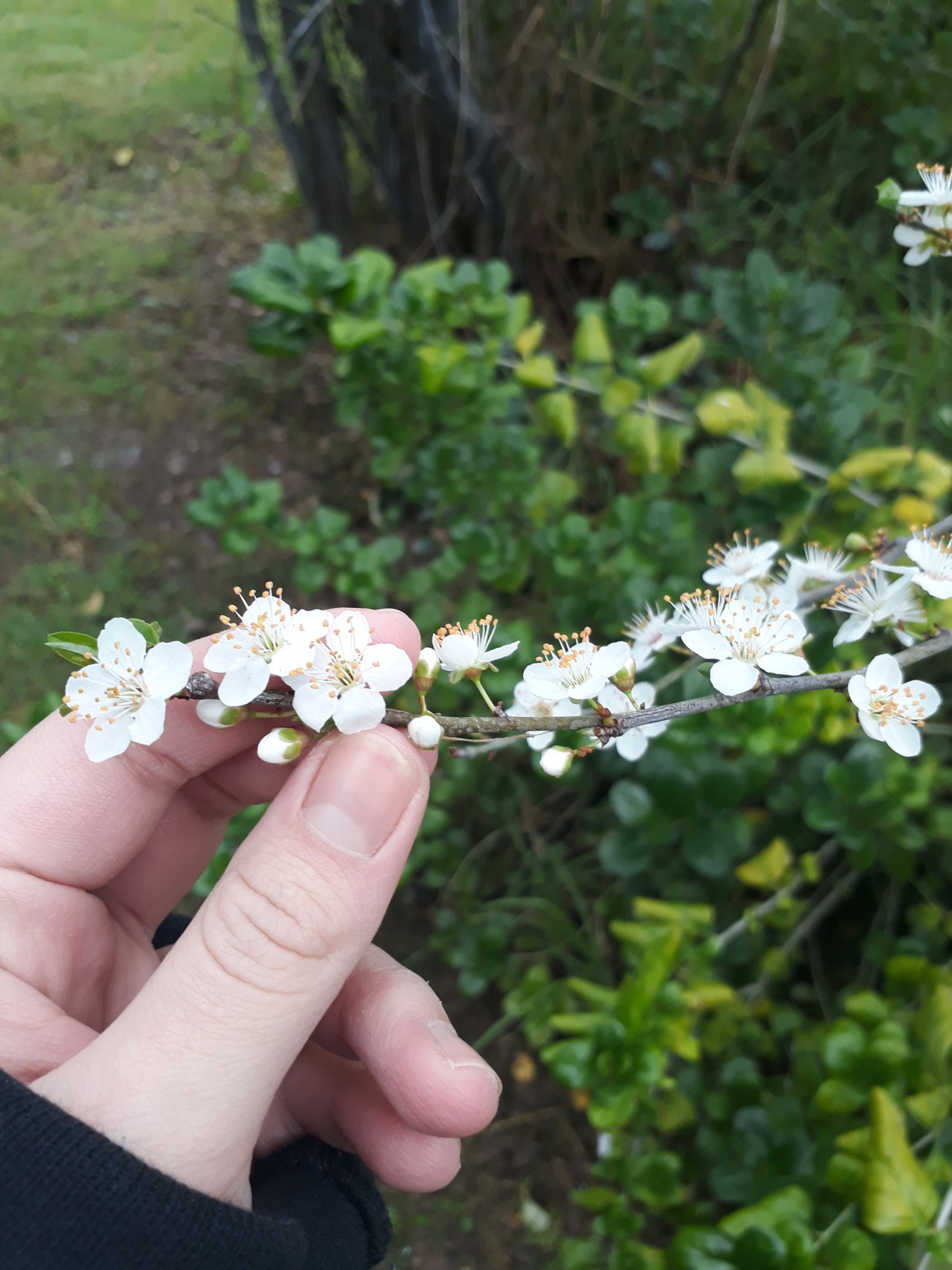 un-invierno-eterno:  “Para amar, aprende amar tu entorno natural y a ti mismo.