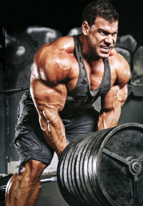 drwannabe:  Steve Kuclo 