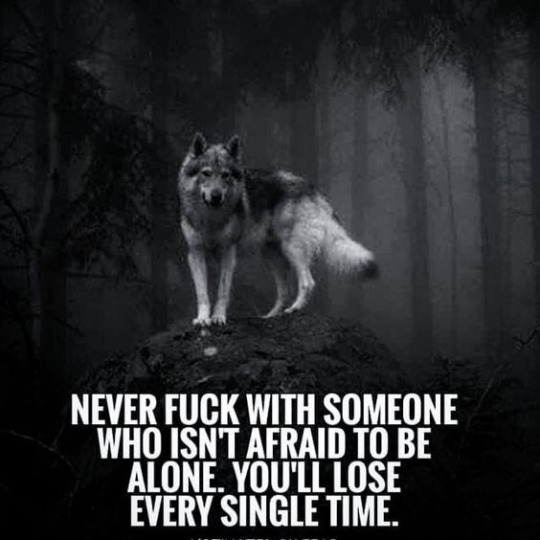 toughiexo:   