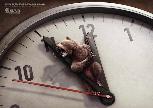 jedavu:  POWERFUL ANIMAL AD CAMPAIGNS
