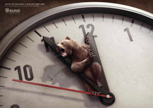 jedavu:  POWERFUL ANIMAL AD CAMPAIGNS adult photos