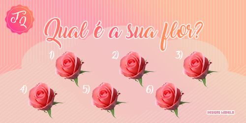 tropadasqueens: Oi gente, sabe que dia é hoje? Hoje é um dia muito especial do reconhecimento das mu