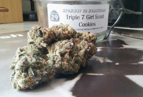 Porn photo shesmokespurple:Triple 7 Girl Scout Cookies