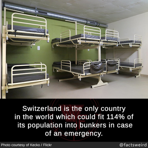 mindblowingfactz:  Switzerland is the only country in the world which could fit 114% of its population into bunkers in case of an emergency. (source)Photo : Kecko / Flickr