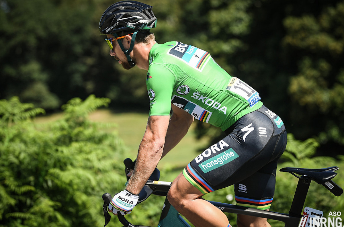 Tour de France Green Jersey Contenders 