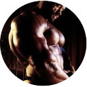 musclegods2 avatar