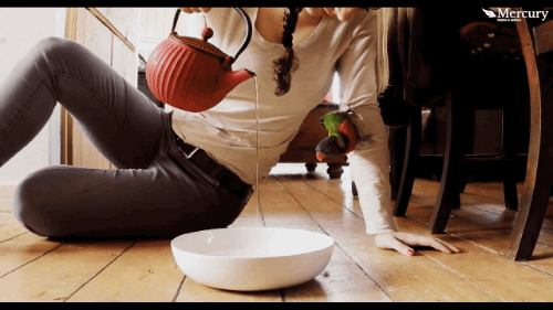 gifsboom:  Parrot Does ‘Rain Dance’ When He Hears Running Water. [video] [Caters Clips] 