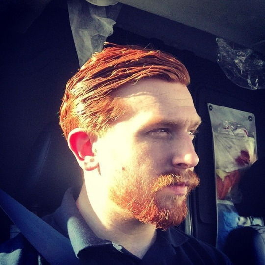 Ginger Militia